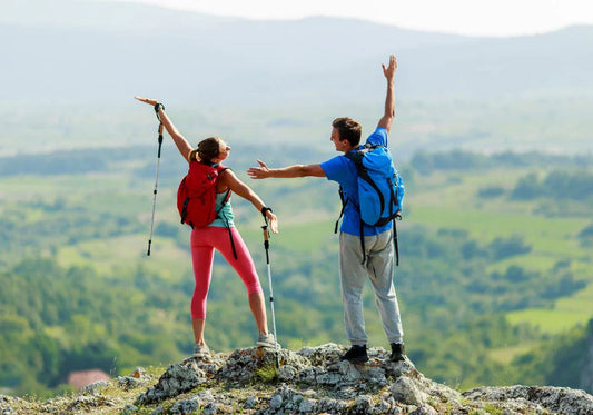 Shilajit-Kapseln: Die Kraft der Natur für Ihre Gesundheit