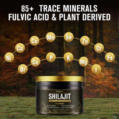 Gold Grade Shilajit Resin with Fulvic Acid & 85+ Trace Minerals